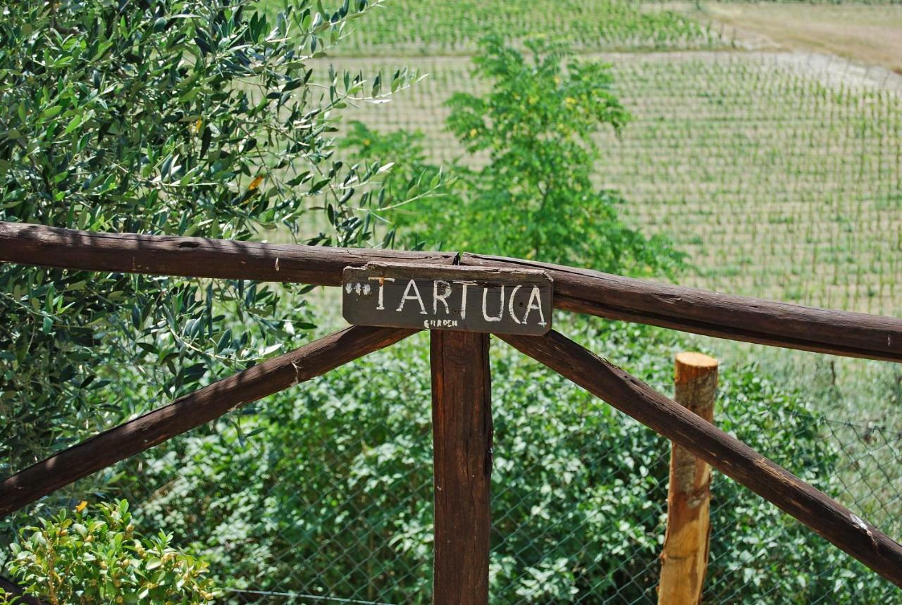 Апартаменти Podere Remignoli Сан-Джиміньяно Екстер'єр фото